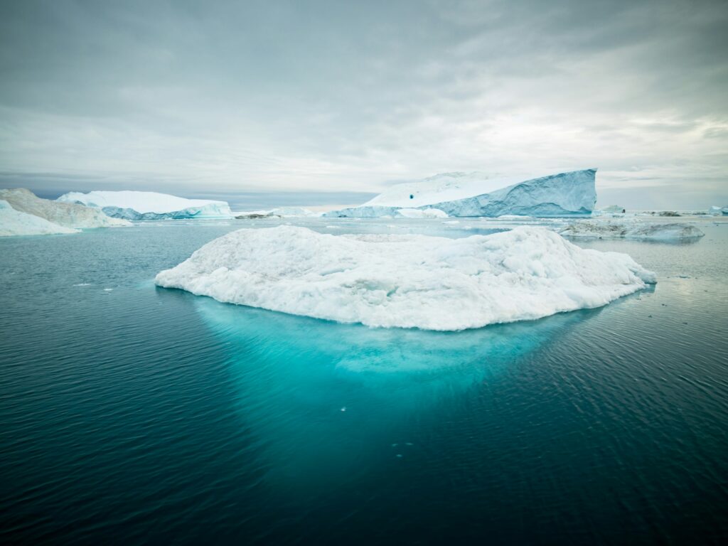 iceberg earnout